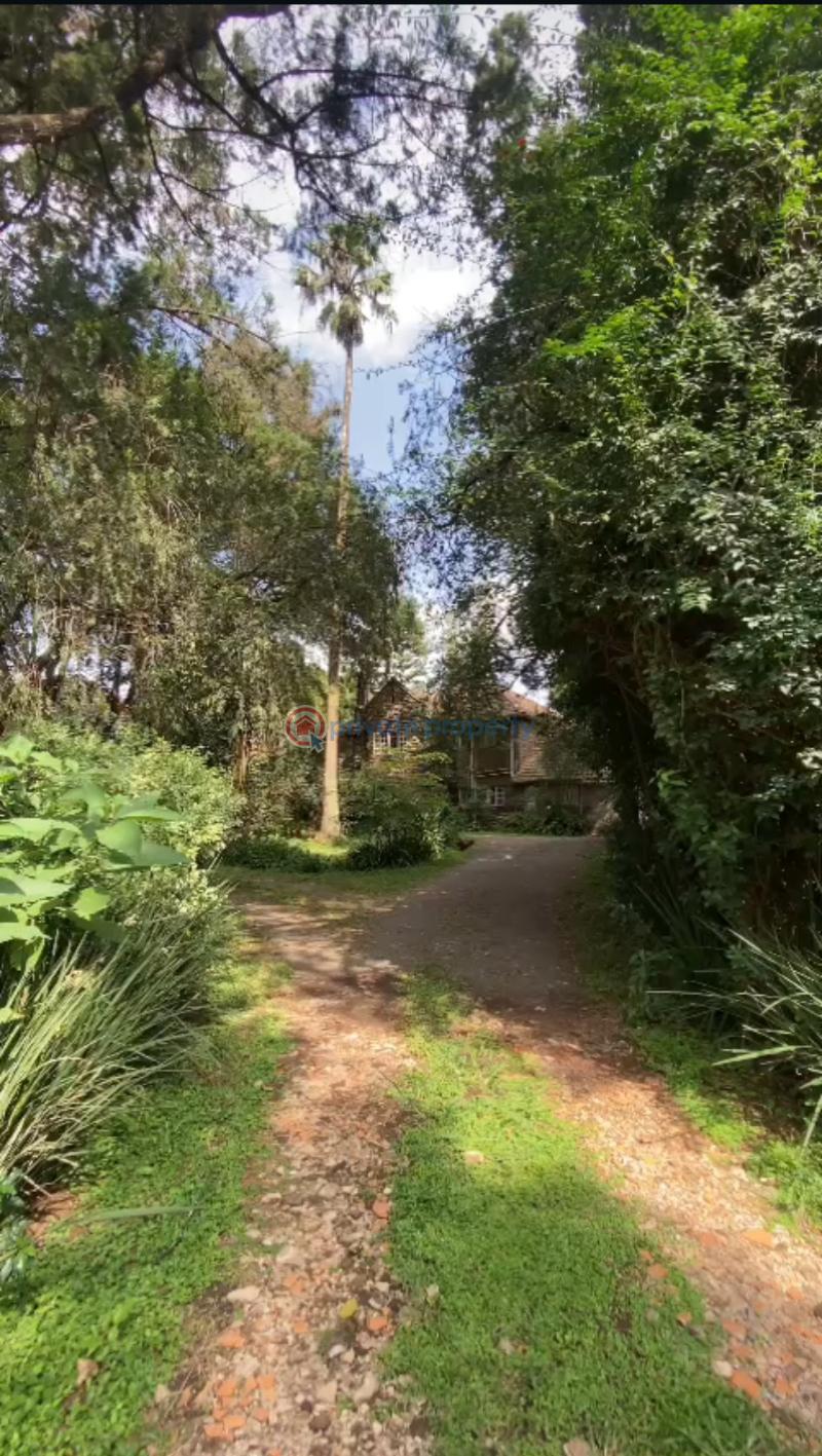 Land For Sale Mbaazi Lane Lavington Nairobi - 3
