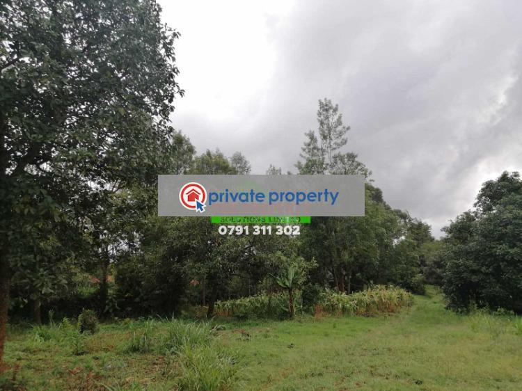 Residential Land For Sale  gikambura Thigio Kikuyu Kiambu - 6