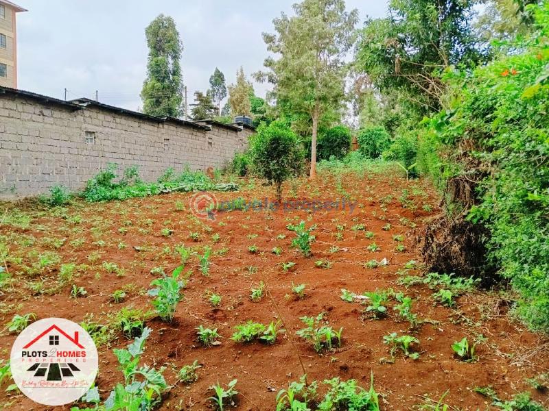 Residential Land For Sale Thogoto Teachers College Area Thogoto Kikuyu Kiambu - 20