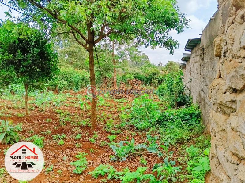 Residential Land For Sale Thogoto Teachers College Area Thogoto Kikuyu Kiambu - 16