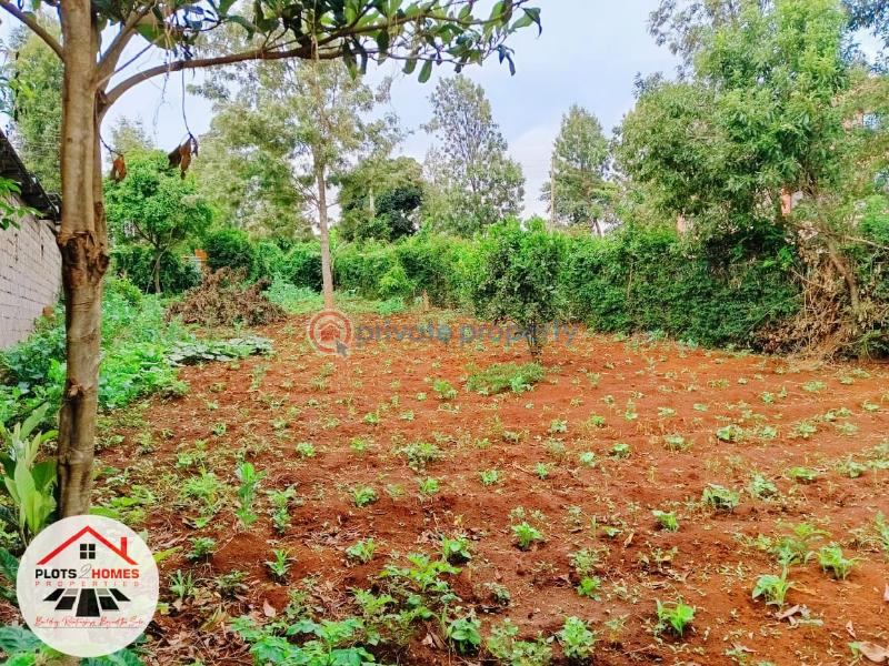 Residential Land For Sale Thogoto Teachers College Area Thogoto Kikuyu Kiambu - 18