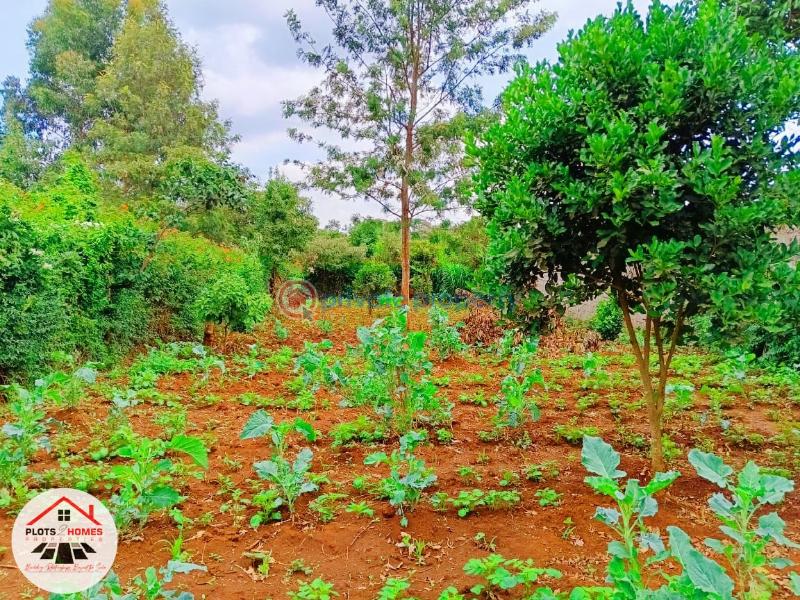 Residential Land For Sale Thogoto Teachers College Area Thogoto Kikuyu Kiambu - 15