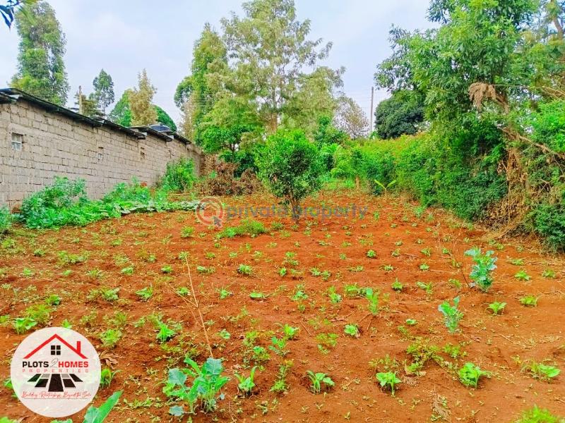 Residential Land For Sale Thogoto Teachers College Area Thogoto Kikuyu Kiambu - 19