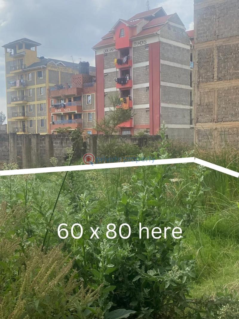 Land For Sale Behind Juja Police Station Juja. Kiambu - 3