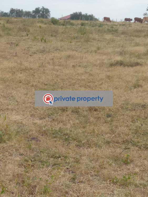 Land For Sale &nbsp;acacia Kitengela Kajiado - 4