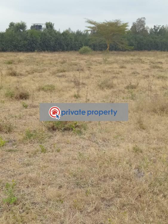 Land For Sale &nbsp;acacia Kitengela Kajiado - 1