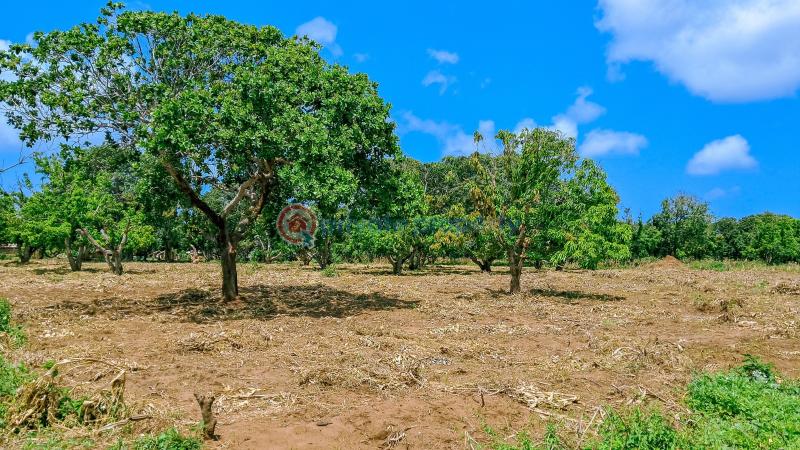 Land For Sale Malindi Airport Area Malindi Town Kilifi - 4
