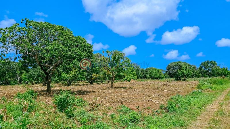 Land For Sale Malindi Airport Area Malindi Town Kilifi - 2
