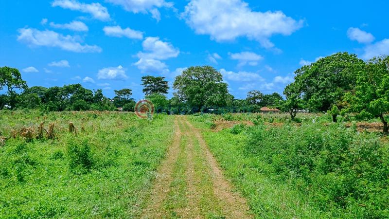 Land For Sale Malindi Airport Area Malindi Town Kilifi - 1