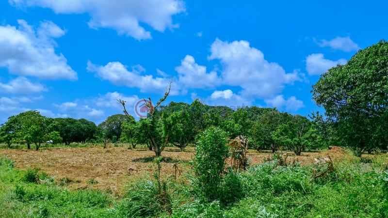 Land For Sale Malindi Airport Area Malindi Town Kilifi - 3