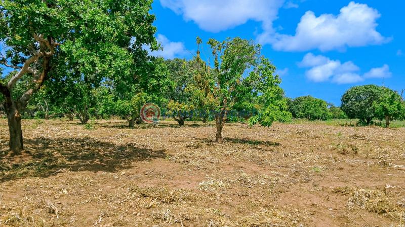 Land For Sale Malindi Airport Area Malindi Town Kilifi - 0
