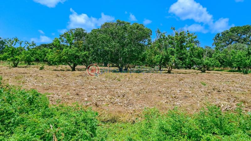 Land For Sale Malindi Airport Area Malindi Town Kilifi - 5
