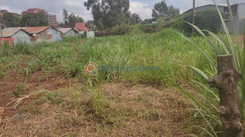 Land For Sale 300 Meters From The Tarmac Road Kikuyu Kiambu - 3