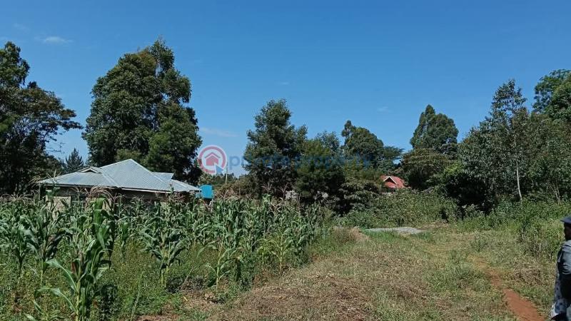 Land For Sale 200 Meters From The Tarmac Road Gikambura Kikuyu Kiambu - 1
