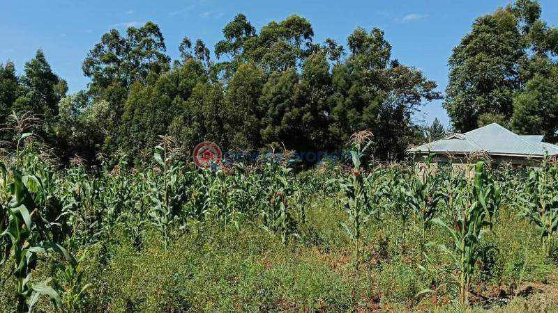 Land For Sale 200 Meters From The Tarmac Road Gikambura Kikuyu Kiambu - 2