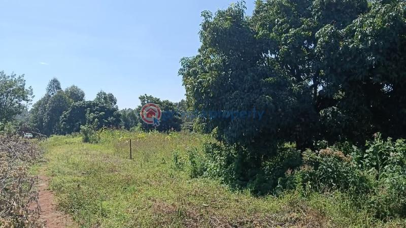 Land For Sale 200 Meters From The Tarmac Road Gikambura Kikuyu Kiambu - 4
