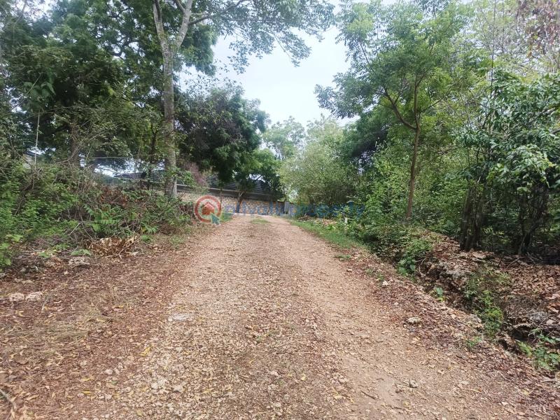 Land For Sale Diani Beach Ukunda Kwale - 5