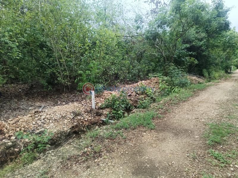 Land For Sale Diani Beach Ukunda Kwale - 7