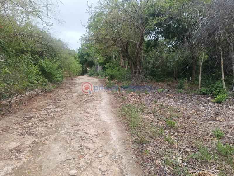 Land For Sale Diani Beach Ukunda Kwale - 8