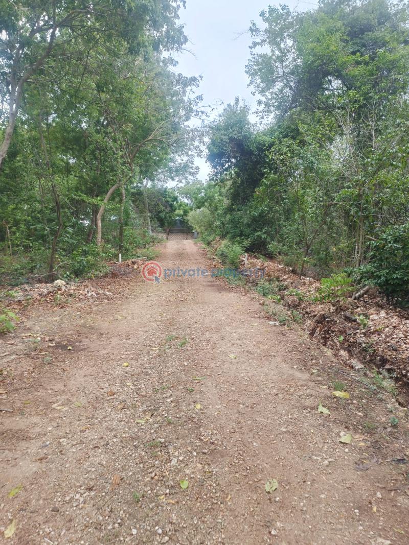 Land For Sale Diani Beach Ukunda Kwale - 4