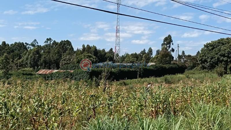 Land For Sale Fronting The Tarmac Rd Gikambura Kikuyu Kiambu - 1