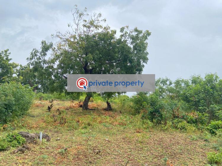 Mixed use Land For Sale &nbsp;bofa Road Bofa Beach Sokoni Kilifi - 3