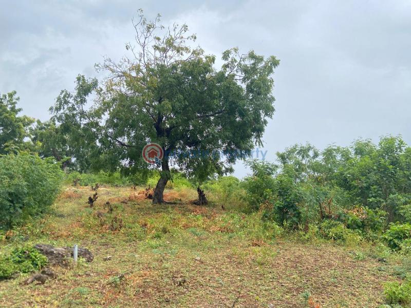 Land For Sale Bofa Beach Resort, Bofa Road Bofa Beach Sokoni Kilifi - 3