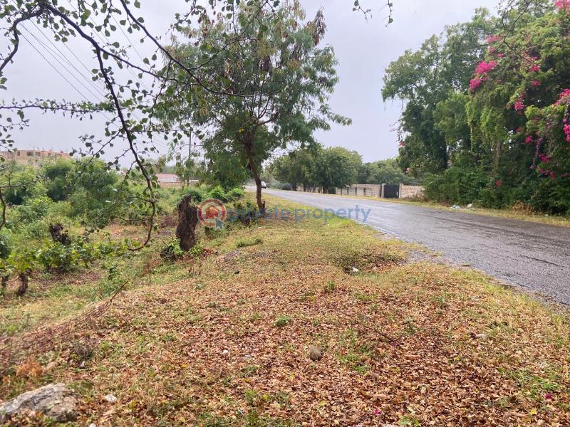 Land For Sale Kilifi Bofa Beach, Bofa Road Mnarani Kilifi - 12