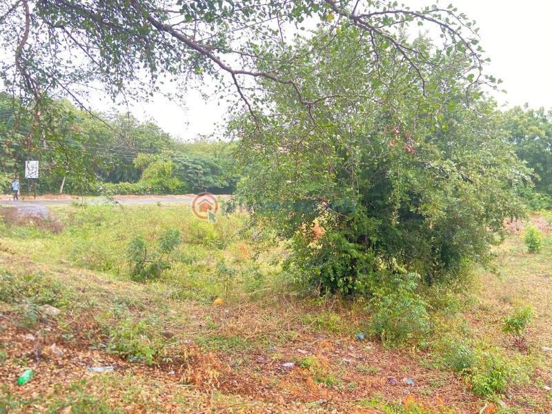 Land For Sale Kilifi Bofa Beach, Bofa Road Mnarani Kilifi - 10