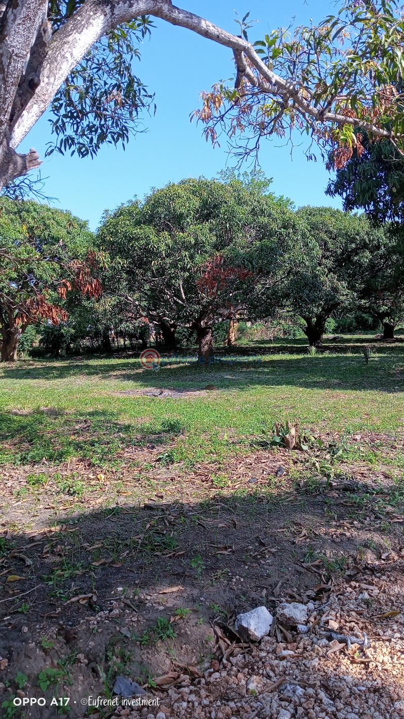 Land For Sale Opposite Pwani Oil Kikambala Mtwapa Kilifi - 12