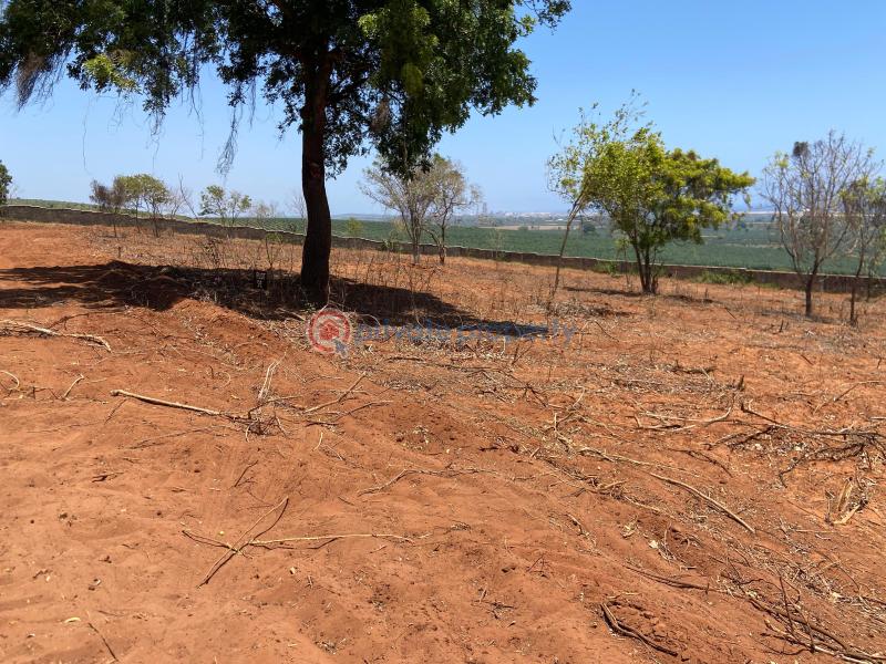 Land For Sale Vipingo Beach Shimo La Tewa Kilifi - 3