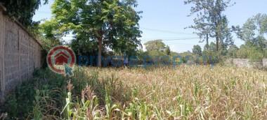 Land For Sale Githurai Nairobi - 1