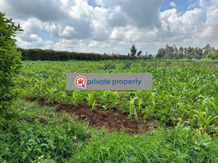 Residential Land For Sale &nbsp;rironi Limuru Central Kiambu - 2