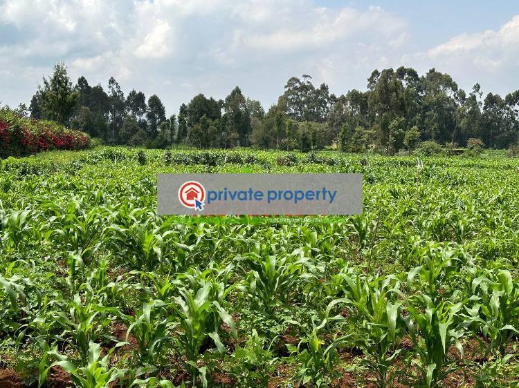 Residential Land For Sale &nbsp;rironi Limuru Central Kiambu - 4