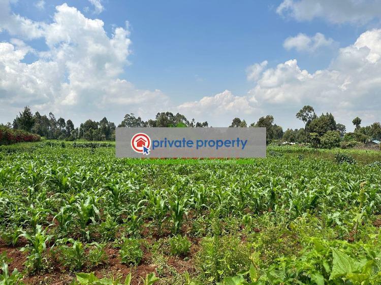 Residential Land For Sale &nbsp;rironi Limuru Central Kiambu - 10