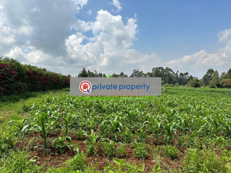 Residential Land For Sale &nbsp;rironi Limuru Central Kiambu - 8