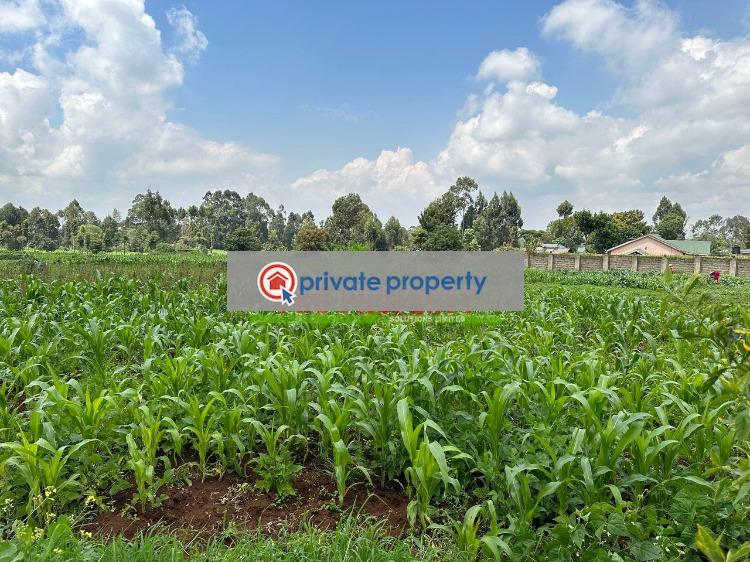 Residential Land For Sale &nbsp;rironi Limuru Central Kiambu - 1