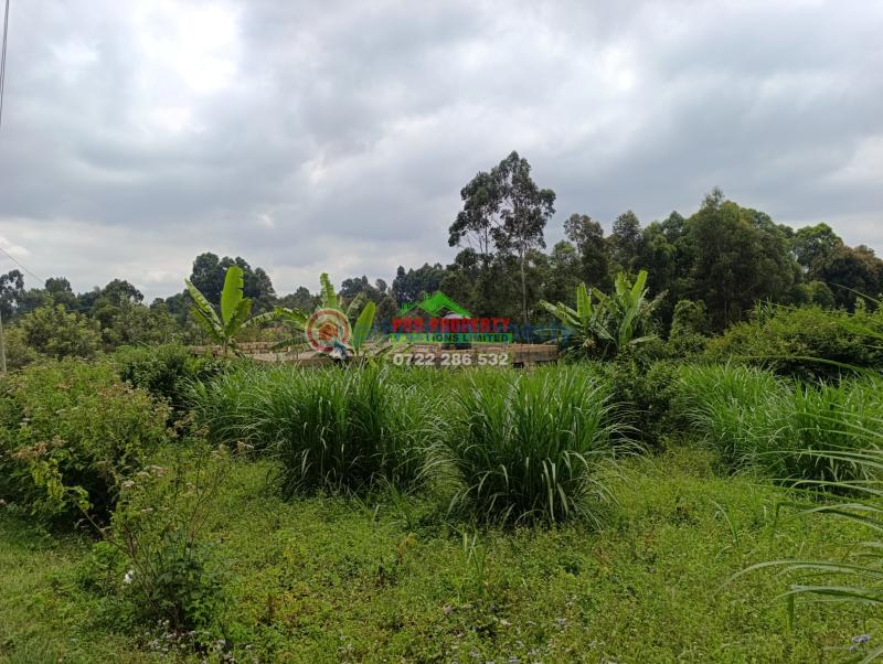 Residential Land For Sale Mai A Ihii Mai-a-ihii Kikuyu Kiambu - 1