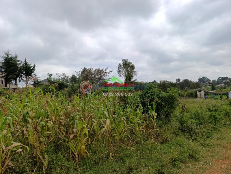 Residential Land For Sale Mai A Ihii Mai-a-ihii Kikuyu Kiambu - 5