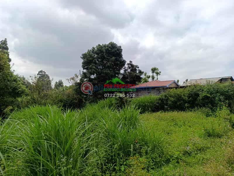 Residential Land For Sale Mai A Ihii Mai-a-ihii Kikuyu Kiambu - 2
