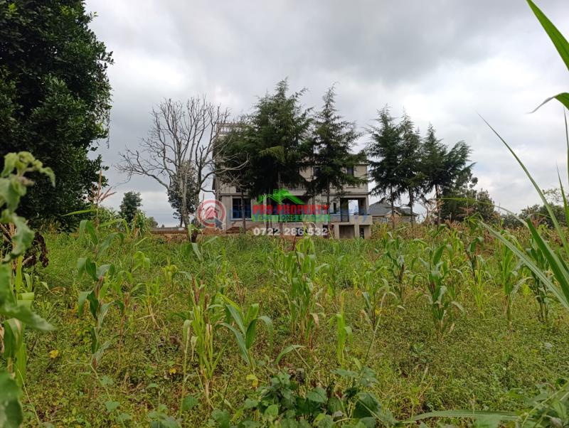 Residential Land For Sale Mai A Ihii Mai-a-ihii Kikuyu Kiambu - 4