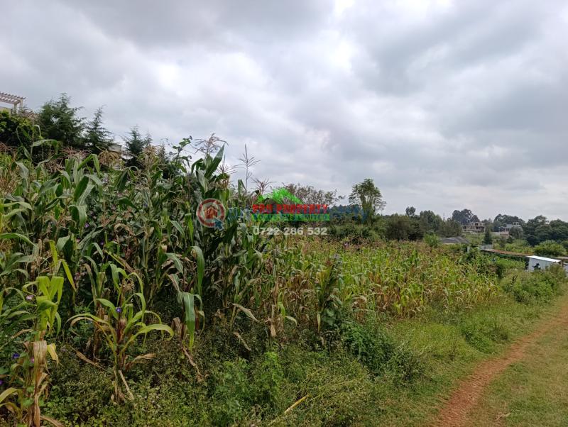 Residential Land For Sale Mai A Ihii Mai-a-ihii Kikuyu Kiambu - 3