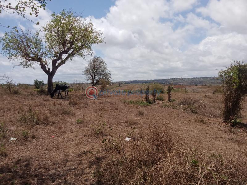 1 bedroom Mixed use Land For Sale Mavueni Mnarani Kilifi - 2