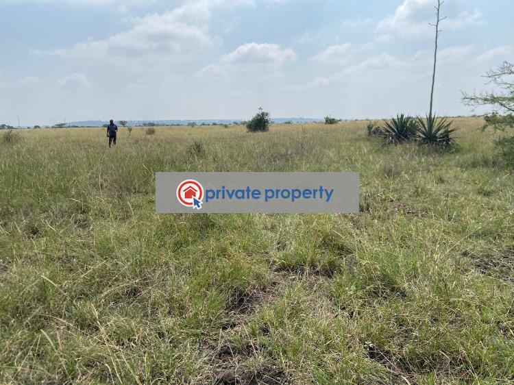 Residential Land For Sale &nbsp;thika Superhighway, Juja South Estate Juja Kiambu - 4