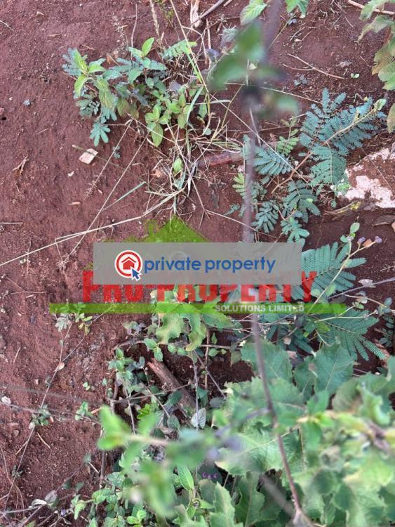 Residential Land For Sale &nbsp;gikambura Kikuyu Kiambu - 5