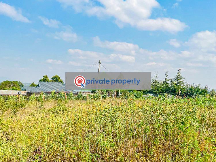 Residential Land For Sale &nbsp;kamangu Kidfarmaco Kikuyu Kiambu - 4