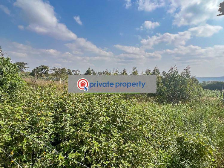 Residential Land For Sale &nbsp;kamangu Kidfarmaco Kikuyu Kiambu - 11