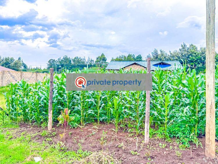 Residential Land For Sale &nbsp;kamangu Kikuyu Kiambu - 4