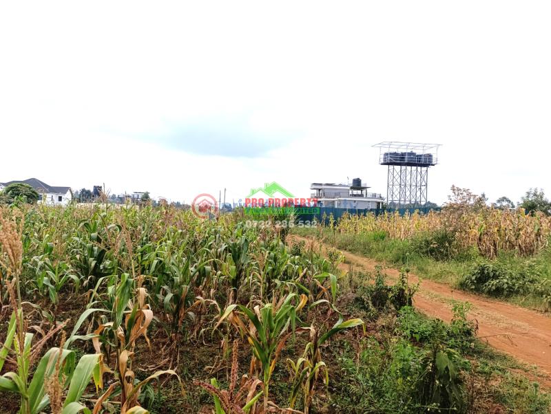 Residential Land For Sale Lusigetti Lussigetti Kikuyu Kiambu - 9