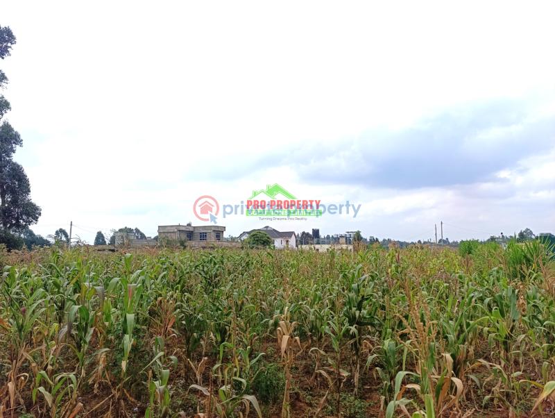 Residential Land For Sale Lusigetti Lussigetti Kikuyu Kiambu - 8